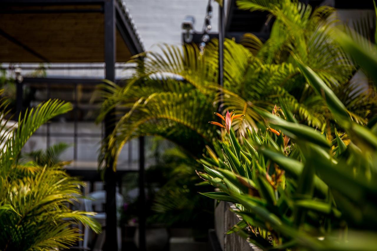 Alko Hotel Boutique Cali Ngoại thất bức ảnh